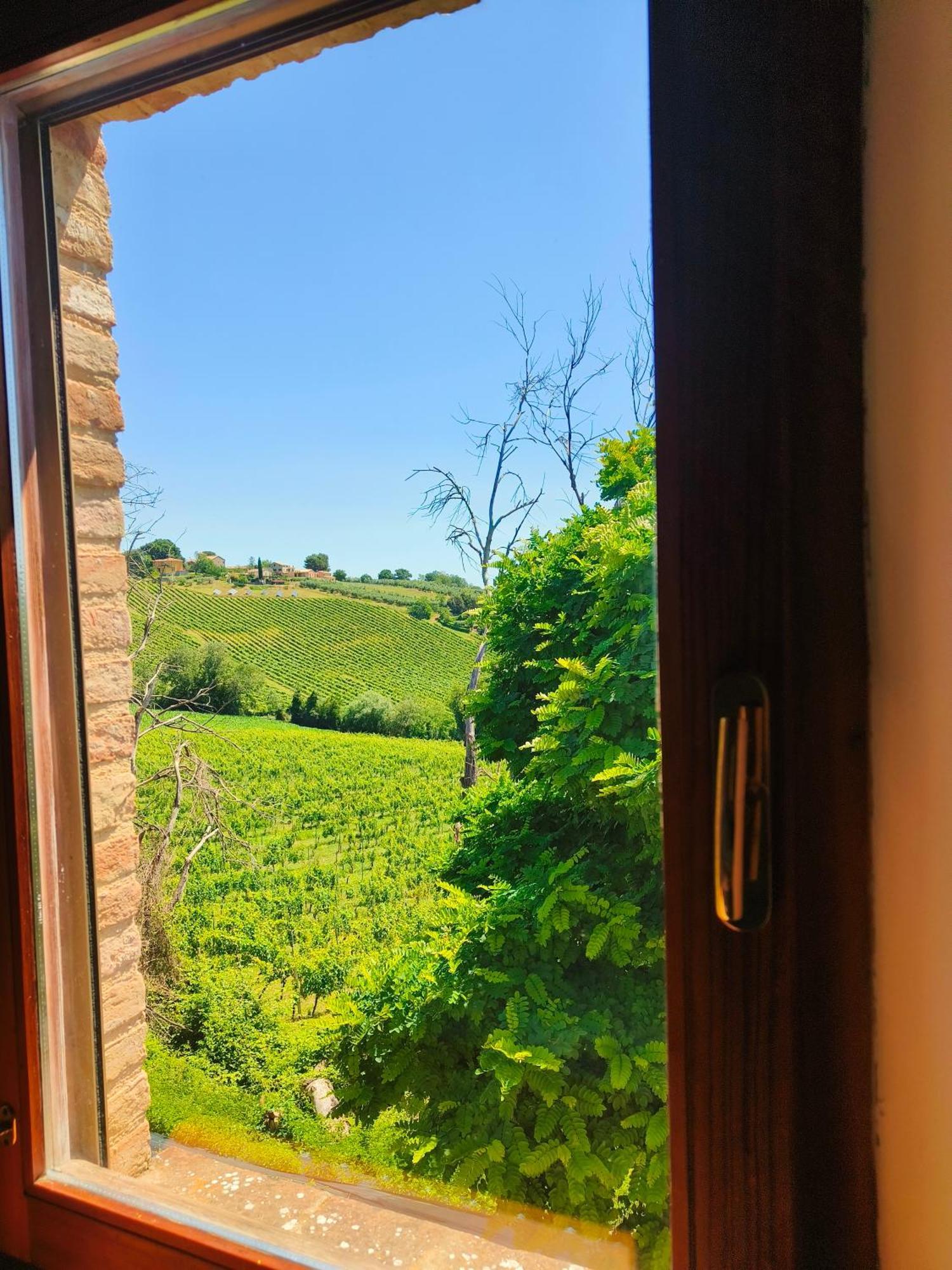 B&B Nel Vigneto Castelplanio Экстерьер фото